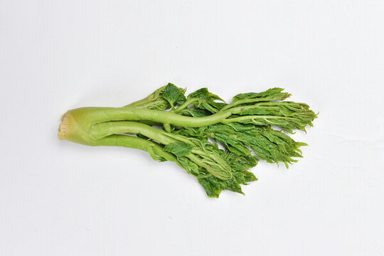 東北山野菜