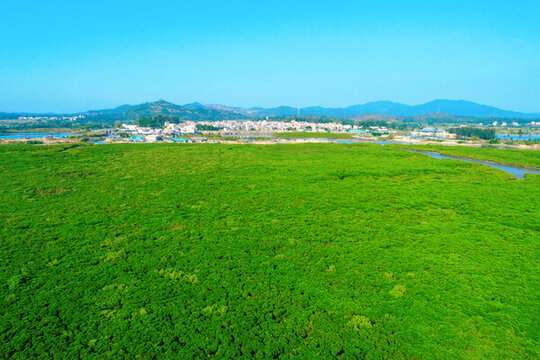 紅樹林公園
