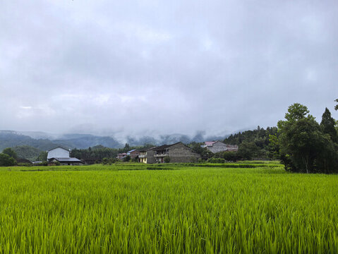 山村風(fēng)光