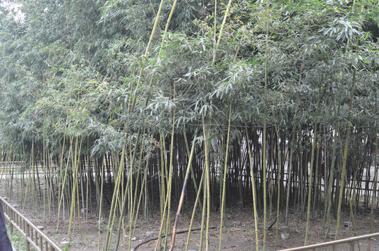 北京頤和園