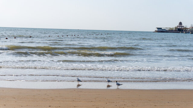 海邊