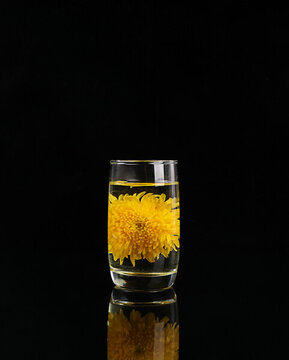 金絲皇菊花茶