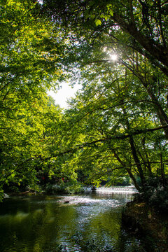 阿哈湖濕地公園