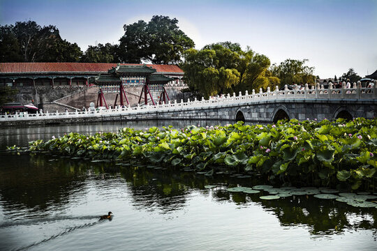 北海公園