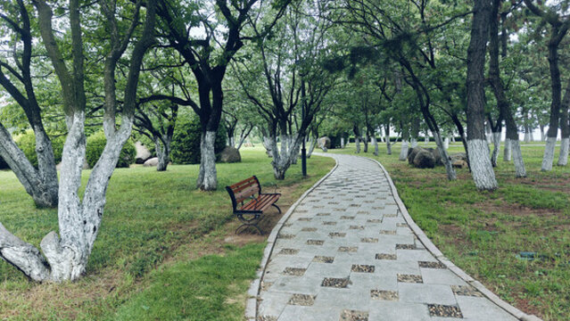公園休閑步道