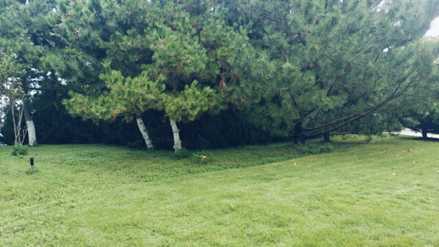 公園綠地