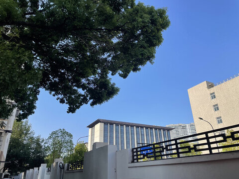 城市風(fēng)光