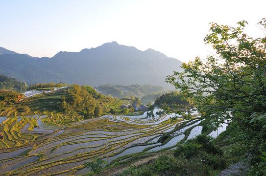 云和梯田