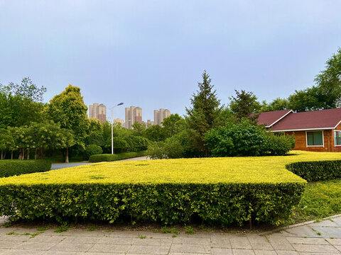 內(nèi)蒙古呼和浩特城市觀景