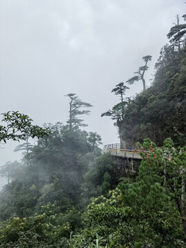 高山風景如畫
