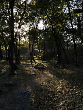 圓明園風景