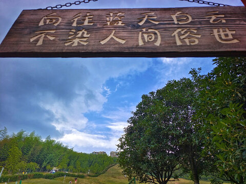天鵝堡滑草場