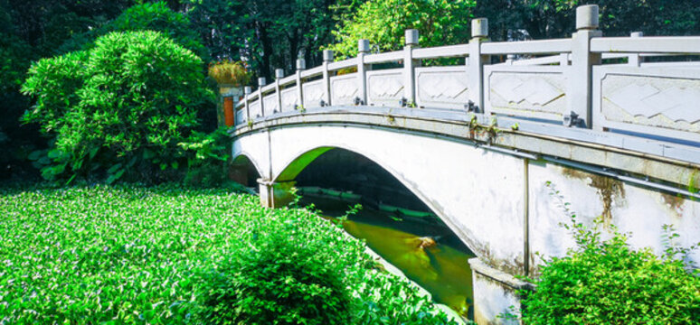 佛山市亞洲藝術(shù)公園湖景