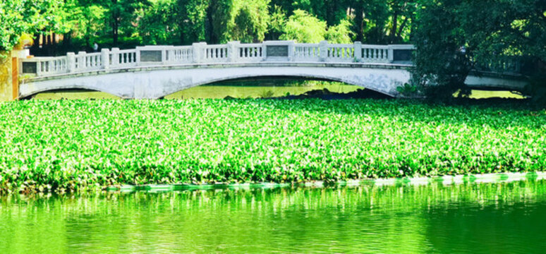 佛山市亞洲藝術(shù)公園湖景