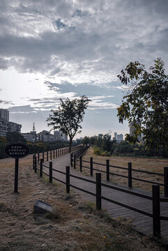 鄭州商都古城墻遺址