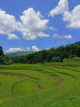 藍(lán)天梯田
