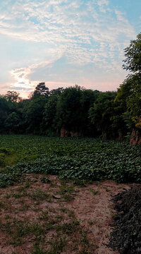 日落鄉(xiāng)村景色