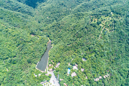 山坡山谷叢林