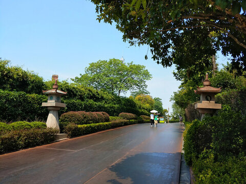 鴻恩寺公園圖書(shū)館旁道路