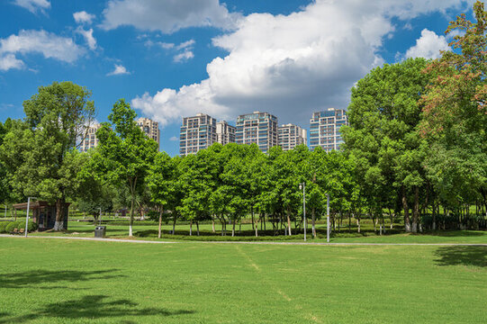 公園綠色大草坪與周圍的住宅建筑
