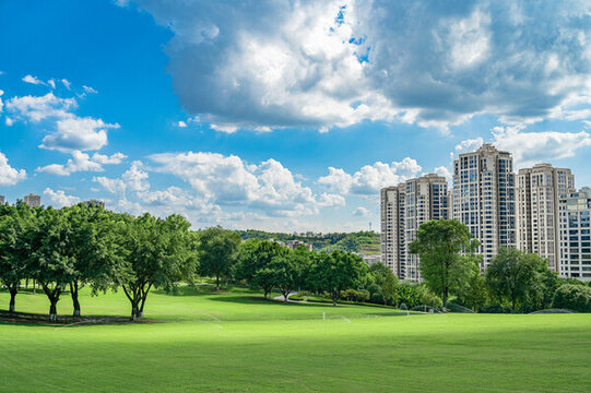 公園綠色大草坪與周圍的住宅建筑