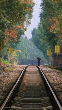 網(wǎng)紅鐵路