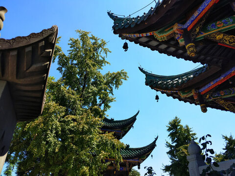 鴻恩寺翹角亂飛