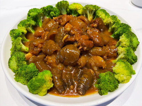 鮑汁鱷魚掌