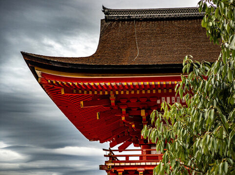 日本傳統(tǒng)建筑與日本庭院