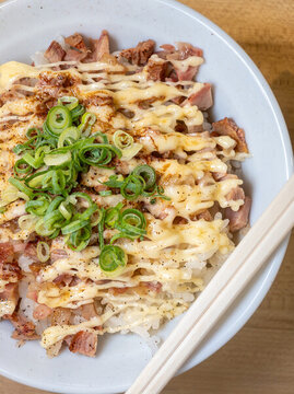 日式烤肉蓋飯