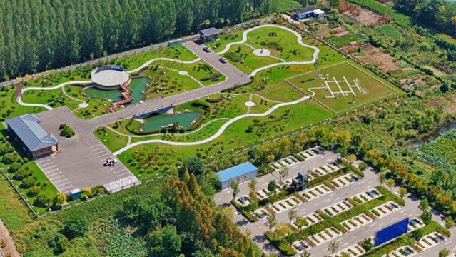 航拍微山湖濕地公園