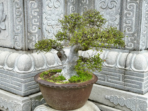 福建霞浦地藏寺建筑寺院