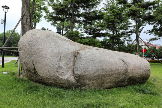 公園大石頭