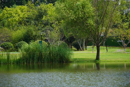 公園園林景觀