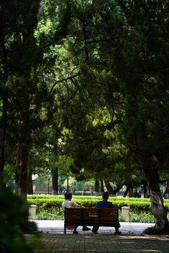 公園園林景觀