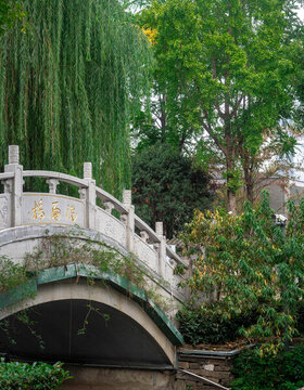 公園橋梁