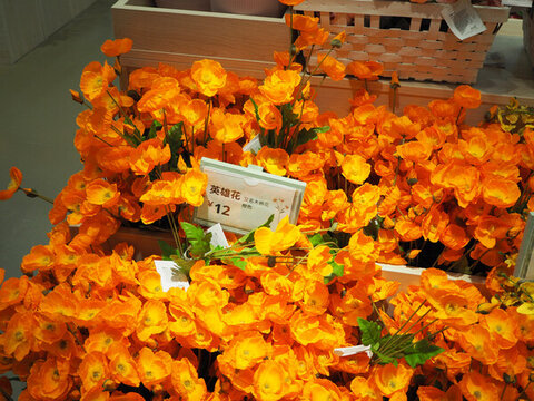 宜家花