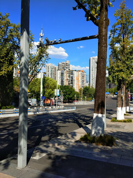 鴻恩路初秋盛景