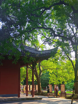 南京明孝陵園內(nèi)