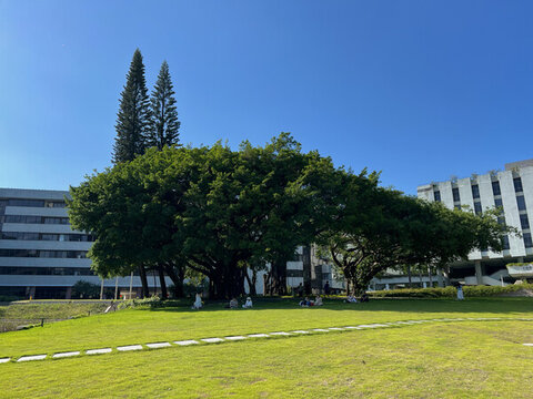 深圳大學(xué)