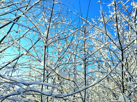 山林秋雪