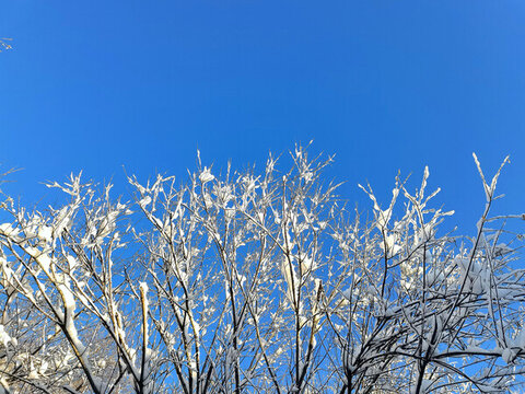 山林秋雪