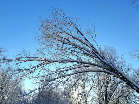 山林秋雪