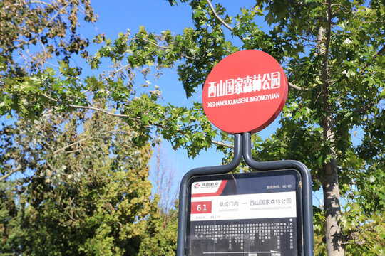 北京西山森林公園