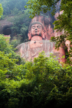 風(fēng)景植物彭祖山