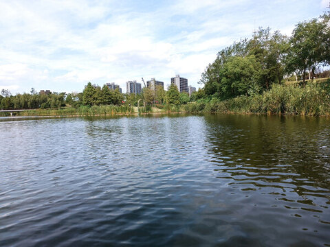 白沙公園