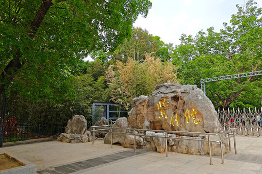 北京紫竹院公園
