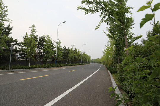 柏油公路