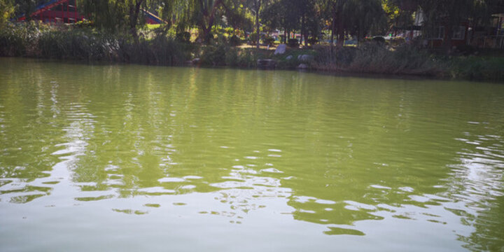 公園湖面