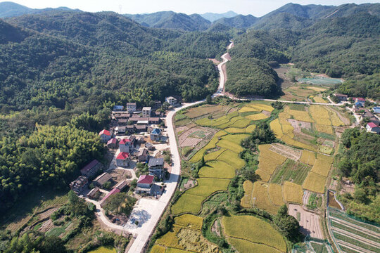 森林公路村莊